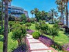 OLEANDER #5